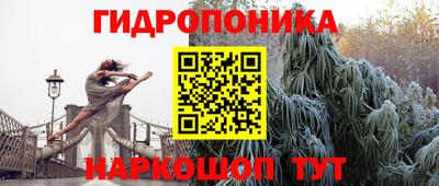 шишки Беслан