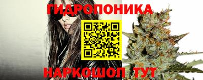 ПСИЛОЦИБИНОВЫЕ ГРИБЫ Бийск