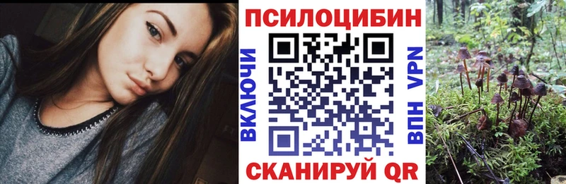 Псилоцибиновые грибы Cubensis  как найти закладки  Выкса 