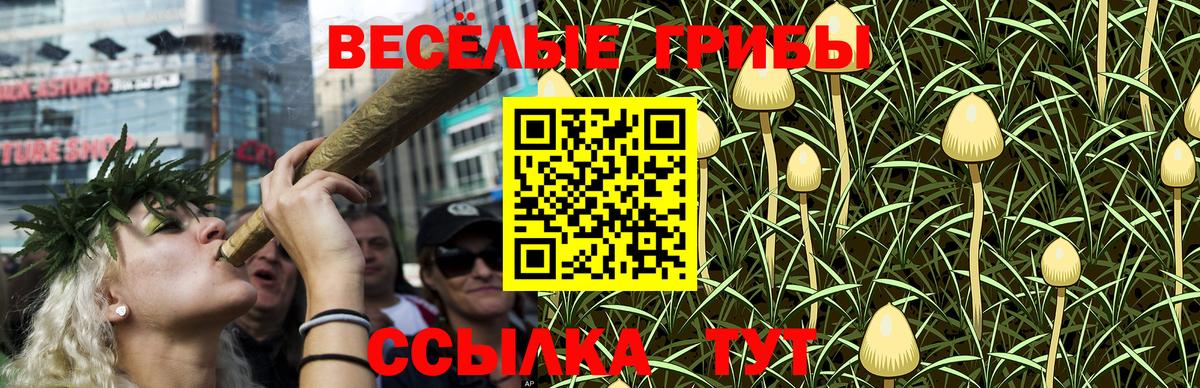 Псилоцибиновые грибы MAGIC MUSHROOMS  Выкса 